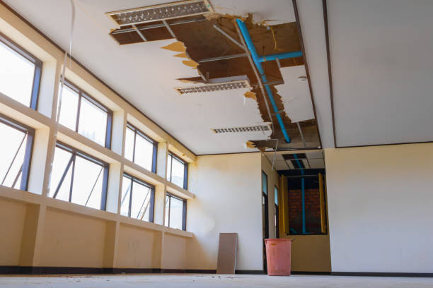 Best Water damage restoration specialists  in Liberal, KS