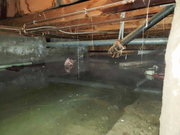 Best Residential water damage restoration  in Liberal, KS