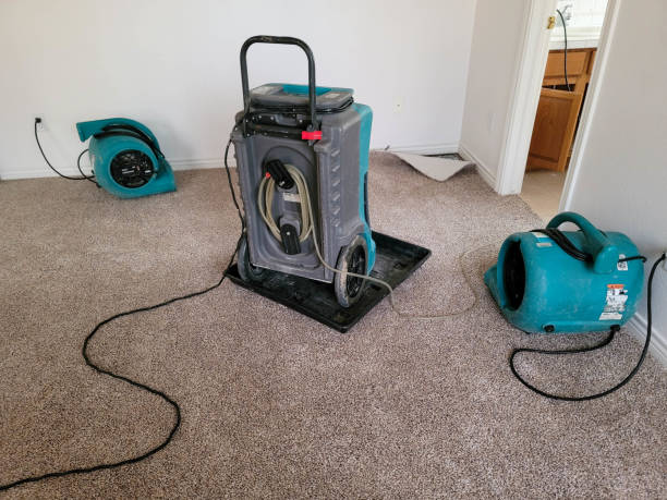 Best Fire Damage Restoration  in Liberal, KS