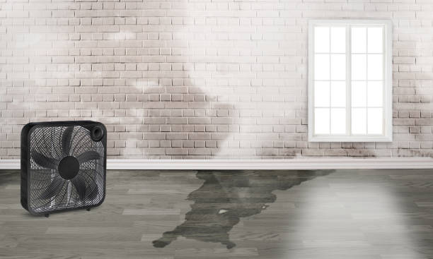 Best Water damage restoration mold remediation  in Liberal, KS