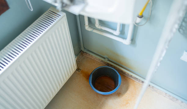 Best Mold removal after water damage  in Liberal, KS