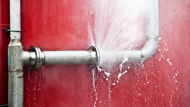 Best Carpet water damage restoration  in Liberal, KS